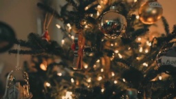 Artejones  08-12-2020
